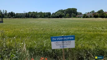 Expose Großes, attraktives Baugrundstück in sonniger, ruhiger Lage – Ideal für Ihr Projekt!