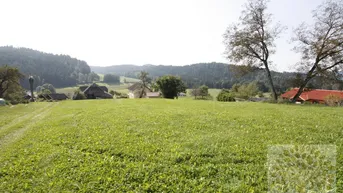 Expose Sehr schöner Baugrund, sonnig, ruhig, in ländlicher Umgebung