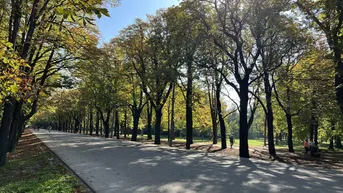 Expose Im Prater blühn wieder die Bäume!