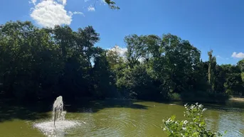 Expose Im Prater blühn wieder die Bäume!