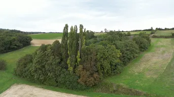 Expose 2xWeingärten bei Karnabrunn mit alter Winzerhütte (kein Baugrund)