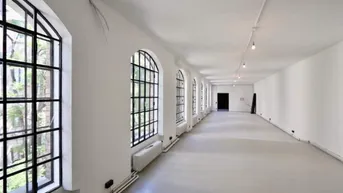 Expose Loft zur gewerblichen Nutzung im 6. Bezirk - viel Raum für Kreativität und Ruhe ( Top 4 )