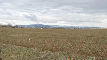 Expose Ca. 5.868m² Baurecht (erweiterbar) in Leonding zu vergeben! Widmung Betriebsbaugebiet!