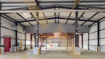 Expose Beheizbare Lagerhalle mit ca. 7 bis 9 Meter Hallenhöhe, diversen Krananlagen, Freiflächen etc. in Asten zu vermieten!