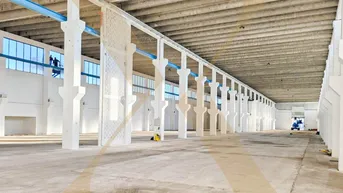 Expose Lagerhalle mit Krannasen in Wiener Neustadt zu vermieten!