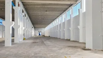 Expose Lagerhalle mit Krannasen in Wiener Neustadt zu vermieten!