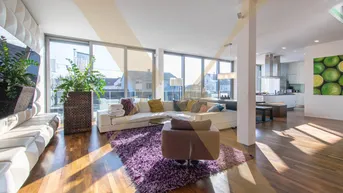 Expose Exklusives Penthouse mit Whirlpool und Sauna in Trauner Ruhelage zu verkaufen!