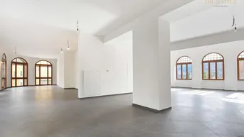 Expose Repräsentative Räume im historischen Altbau - Erstbezug nach Generalsanierung