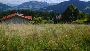 Expose Hanggrundstück in sonniger Panoramalage - Hopfgarten im Brixental