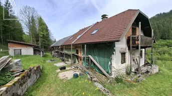 Expose Selbstversorger aufgepasst - Liegenschaft mit landwirtschaftlicher Nutzung und Waldanteil