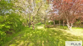 Expose Ebenes Grundstück in ruhiger Sackgasse | idyllischer Garten mit wundervollem Baumbestand | rd. 180 m² verbaubar
