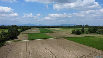 Expose Hochwertige Doppelhaushälfte in Ruhelage Siegersdorf/Pottendorf