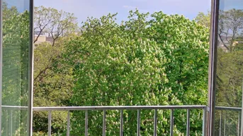 Expose Urban und grün: Helle 5-Zi.-Whg. mit wunderschönem Parkausblick