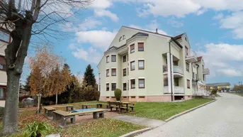 Mehrfamilienhaus mit hellgrüner Fassade, Balkonen und gepflegter Grünfläche mit Sitzgelegenheiten.
