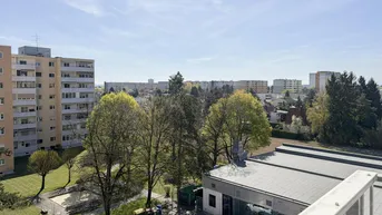 Weitläufiger Blick über die städtische Umgebung mit viel Grün und anderen Wohngebäuden.