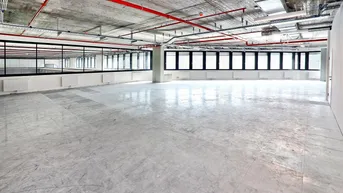 Expose FRANCIS - 2.450m2 Büroloft auf einer Ebene