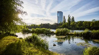 Expose PEAK VIENNA - 708m2, sofort bezugsfertig, sehr attraktiver Mietpreis