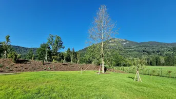 Weitläufige Grünfläche mit jungen Bäumen und Blick auf die umliegende Berglandschaft unter blauem Himmel.