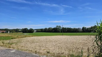Expose Ausladendes erschlossenes Baugrundstück im Grünen in Andorf in Ortsnähe