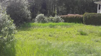 Expose Sonniger Baugrund in Eben im Pongau - 700 m²
