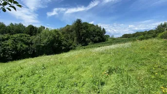 Expose Idyllisches Freiland-Grundstück mit Waldanteil