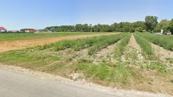 Expose 1-3 Stk. GEWERBE-Grundstücke mit einer Fläche von rd. 1000-4000m2 im Gewerbepark St. Andrä Wördern