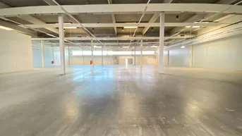 Expose Lagerhalle mit Büro- und Ausstellungsfläche und Parkplätzen