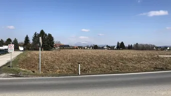 Expose Gewerbegrundstück in werbewirksamer Lage