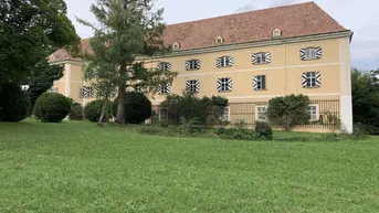 Großes historisches Gebäude mit gelber Fassade und weitläufiger Grünfläche im Vordergrund.