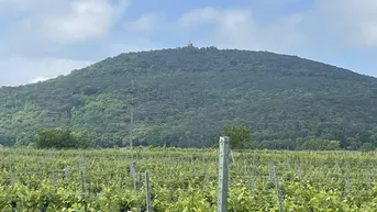 Expose 2.059 Quadratmeter: Traumhaftes Baugrundstück in Sooß – für Ihr neues Eigenheim!!