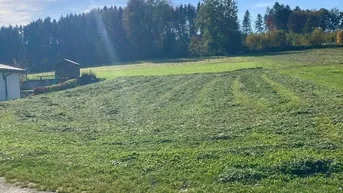 Expose Ruhiger Baugrund am Rande Wieselburgs - perfekte Lage