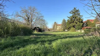 Expose Rarität: großer Bauträgergrund in Korneuburger Bestlage!