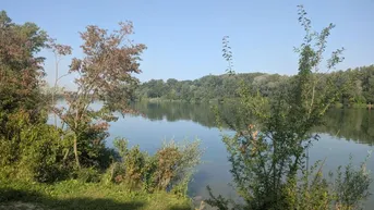 Expose Traumlage direkt am Badesee Greifenstein! Großzügiges Einfamilienhaus mit Einliegerwohnung