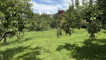 Expose Wunderschöner Grund im Zaubertal