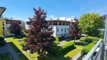 Gepflegter Gemeinschaftsgarten mit Rasenflächen und Bäumen zwischen den Wohngebäuden, ideal zum Entspannen.