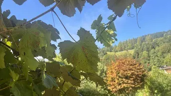 Expose Hochwertige Gartenwohnung