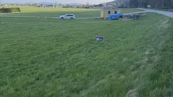 Expose Attraktiver, leistbarer Baugrund mit 681 qm am Waldrand in Pfaffstätt bei Mattighofen