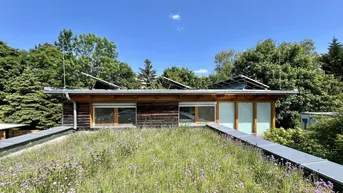 Expose Büro, Mödling