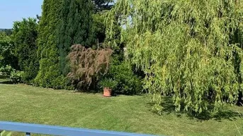 Expose Garten - Baugrundstück