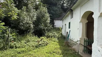 Expose Grundstück mit altem, verwilderten Hausbestand