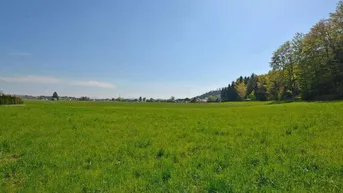 Expose Attraktiver Baugrund in Pfaffstätt bei Mattighofen