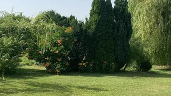 Expose Baugrundstück-Garten-Privat