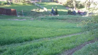 Expose Freizeitgrundstücke zur PACHT in 4120 Neufelden OÖ