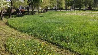 Expose Privat: Sonniges Baugrundstück in Südburgenland