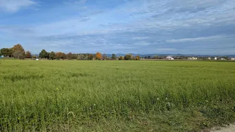 Expose Verkaufe Acker / landwirtschaftliche Nutzfläche