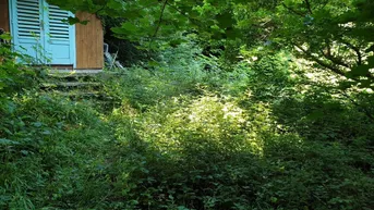 Expose Ruhiges Kleingartengrundstück am Waldrand