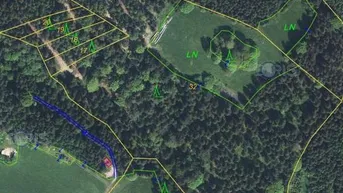 Expose Wald und Naturjuwel