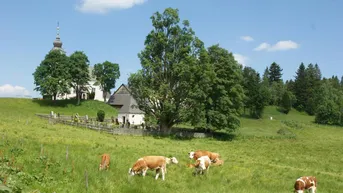 Expose RARITÄT AUF DER ALM