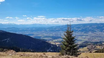 Expose Parkähnliches Traumgrundstück mit fast 50.000 qm für privat von privat