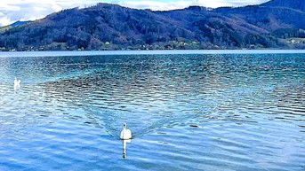 Expose HAUS am ATTERSEE – PRIVAT
